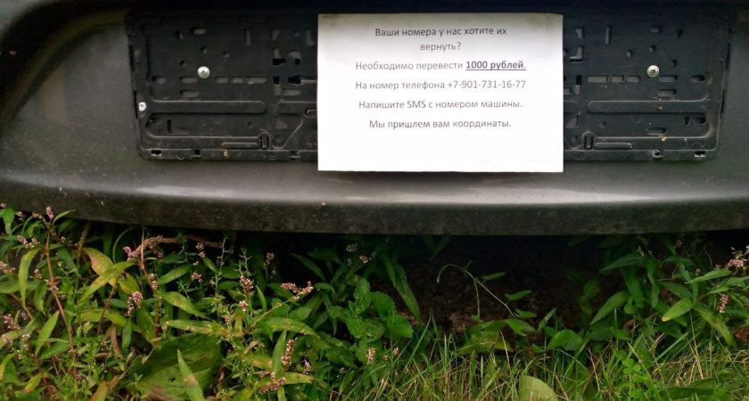 В Челнах у иностранцев с машины сорвали госномера