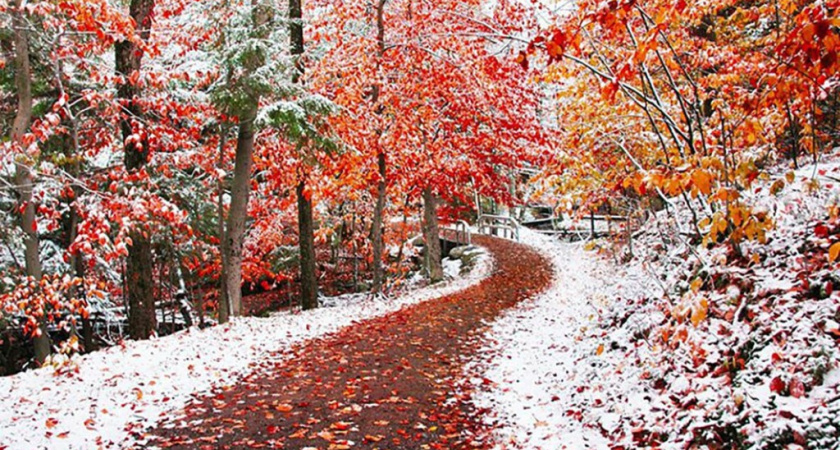 Зима приближается: в Татарстане первый снег выпадет в четверг