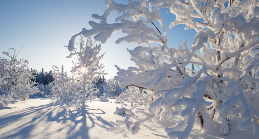 Холодает: ночью в Татарстане до -8°
