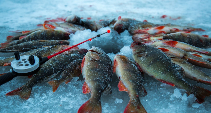 Спасатели предупреждают челнинцев, что лед опасен! Нарушителям грозит штраф