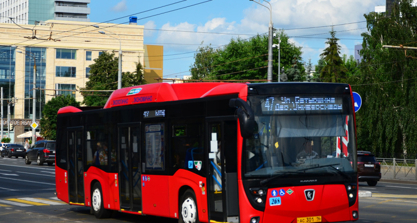 Мужчине, напавшему на водителя автобуса, грозит уголовка