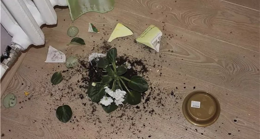 Схлопотал условку: в Татарстане дебошир кинул камень в мать-пенсионерку