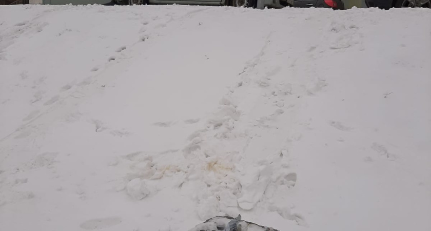 «Грязновато для города европейского формата»