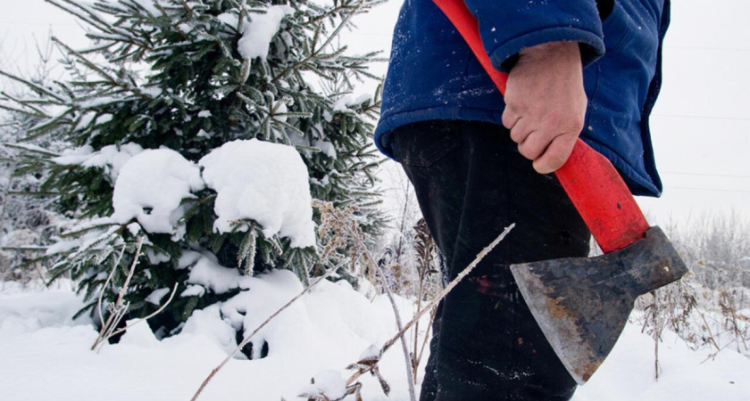 В Челнах стартует операция «Ель»