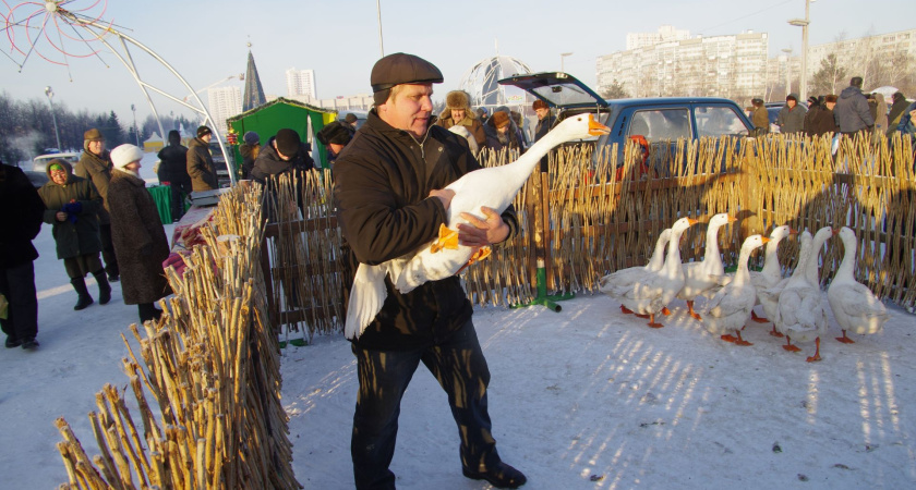 С завтрашнего дня стартуют ярмарки «Новогодний гусь»