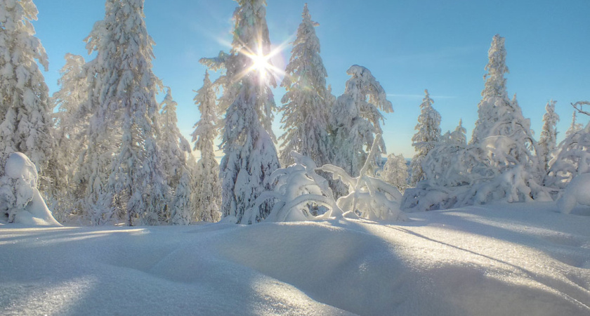 Зима не торопится уходить: в Татарстане похолодает до -24°С