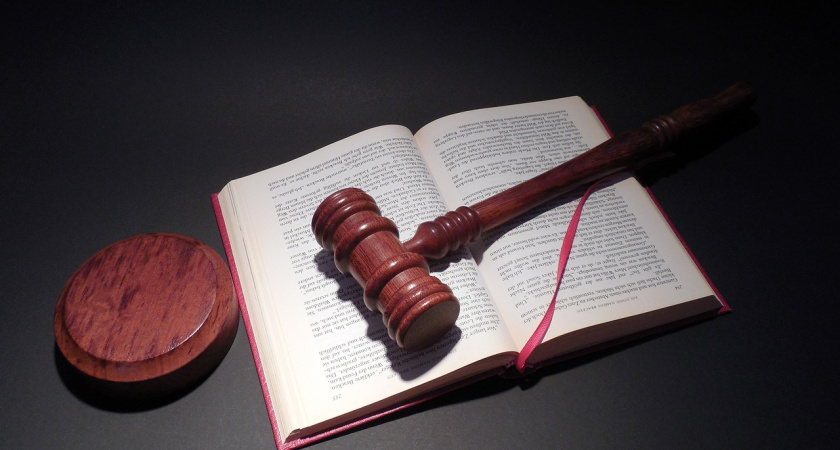 Челнинец взыскал 230 тыс. за упавшее на его авто дерево