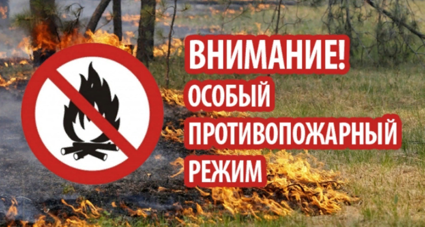 В Татарстане объявлен особый противопожарный режим