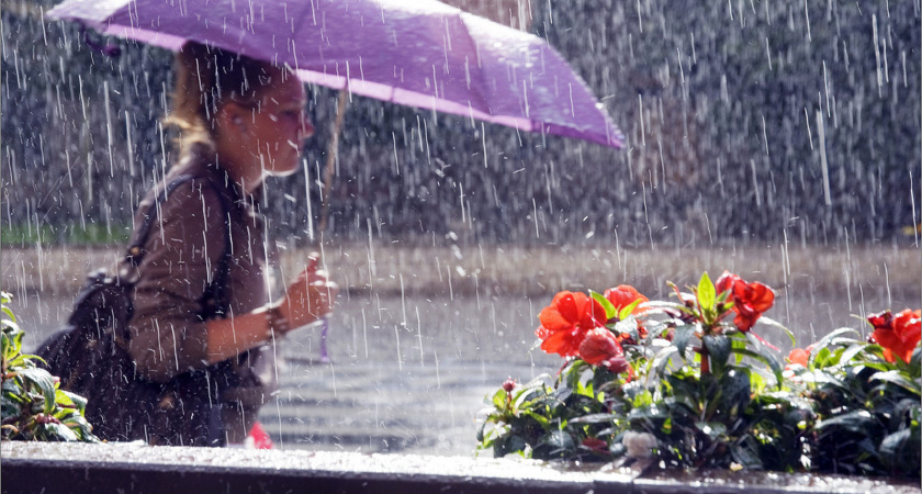 В меню у синоптиков: жара, дожди и ливни