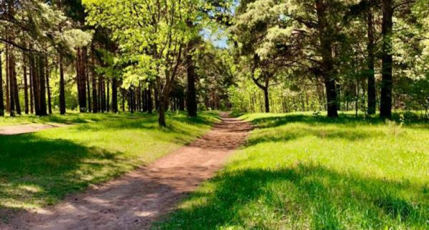 В челнинском парке «Прибрежный» расчистят дно озера