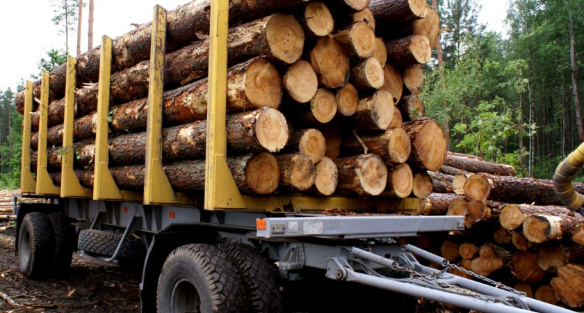 В Челнах бизнесмен перевозил древесину без оформления соответствующих документов