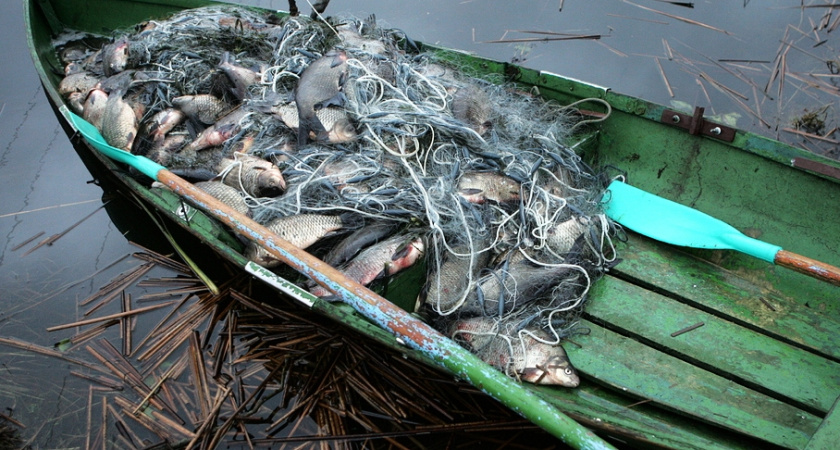 Неудачная рыбалка: в Татарстане двух браконьеров отправят в суд
