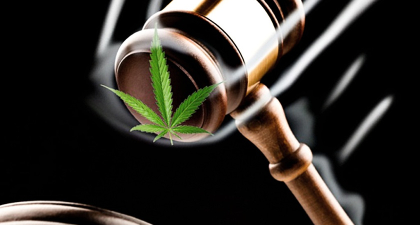 В Татарстане у 39-летнего мужчины изъяли 3 кг марихуаны 