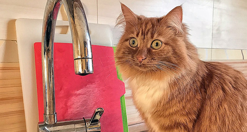 Сегодня в Челнах отключат горячую воду