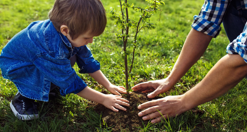 В Набережных Челнах высадят 22 тысяч деревьев и кустарников