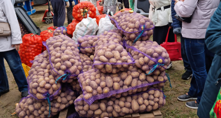 На ярмарки Челнов завезли свыше 912 тонн продукции