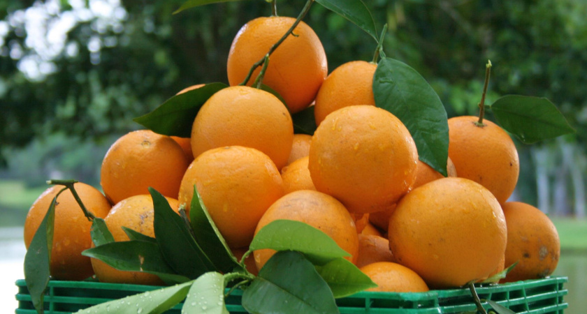 Диетолог назвала продукты, полезные для нервной системы