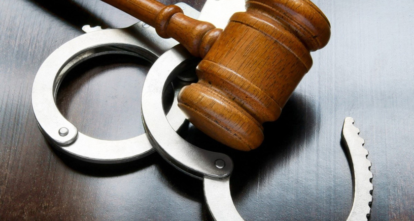 В Татарстане 55-летняя женщина вырастила у себя на участке 15 кустов наркосодержащих растений