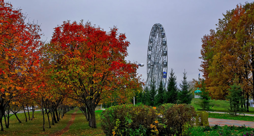 19 октября облачно, небольшой дождь 