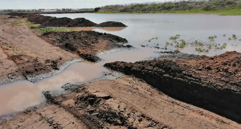В Татарстане молокозавод сливал стоки в почву