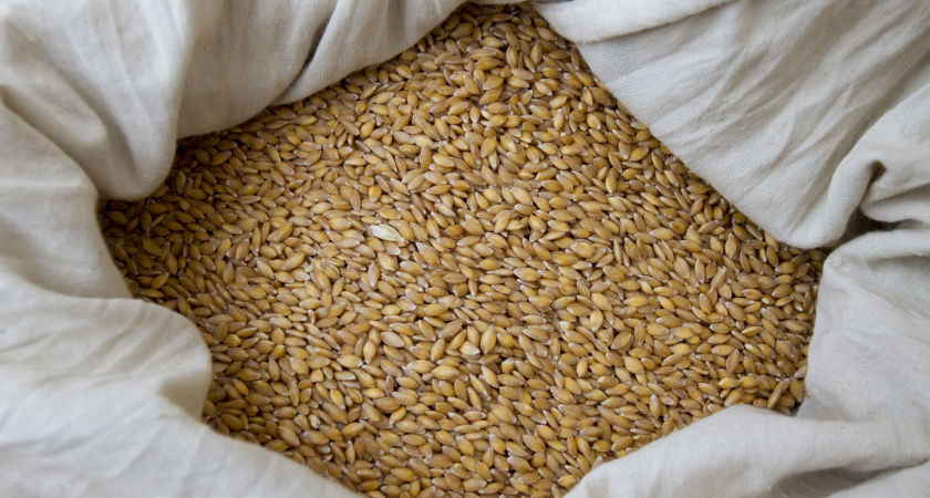 В Татарстане  двух работников агрофирмы обвиняют в краже зерна