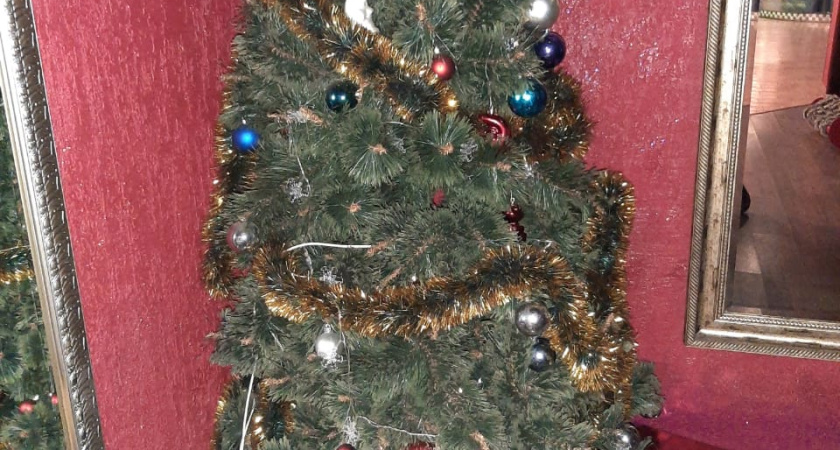 Челнинка «купила» несуществующие елки за 10 тыс. рублей