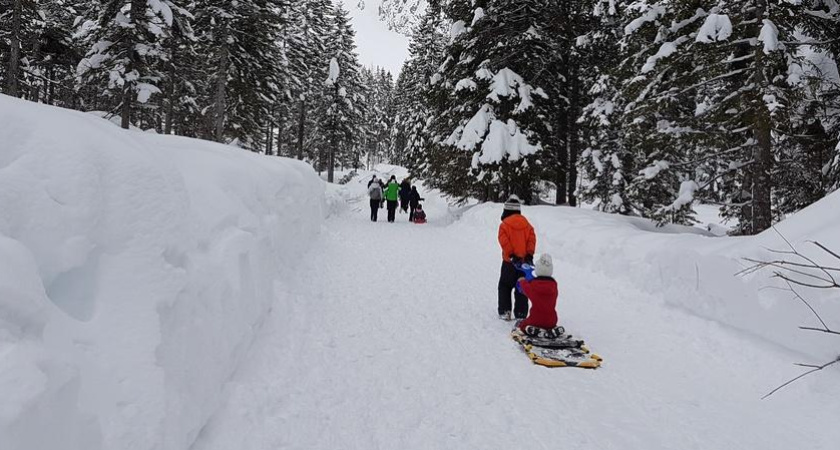 6 детских лагерей на зимние каникулы, в Челнах и Нижнекамске, в 2023 году