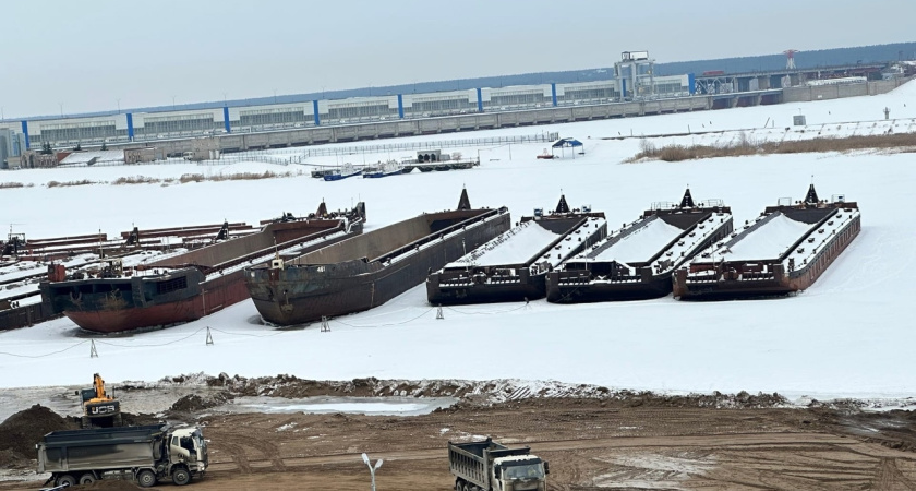 «Раньше росли деревья и можно было гулять, птицы пели, сейчас картина под окнами оставляет желать лучшего»