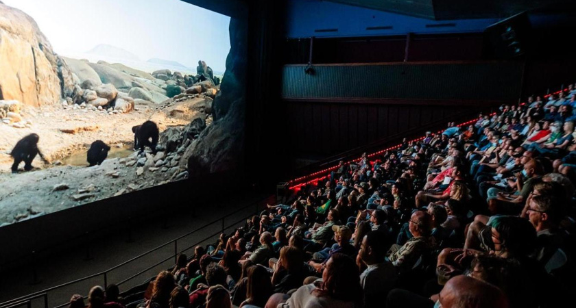  4 лучших кинотеатра Набережных Челнов