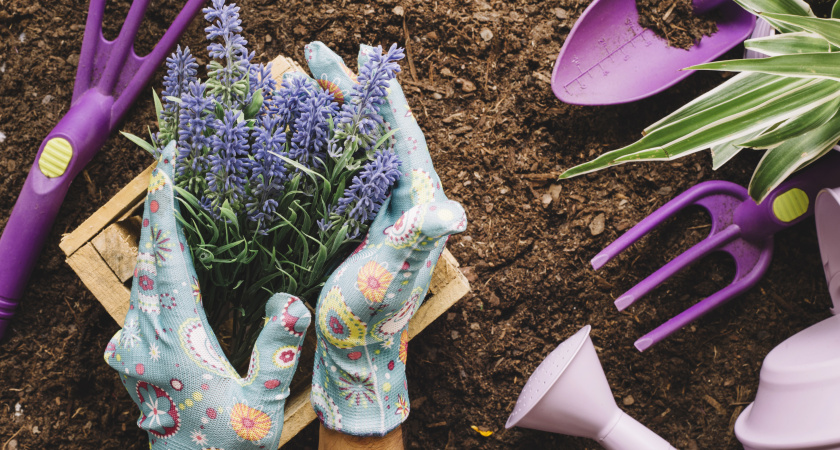 Садоводческие товарищества Набережных Челнов