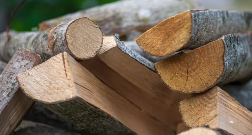 Девушка купила несуществующие дрова за 10 тыс. рублей