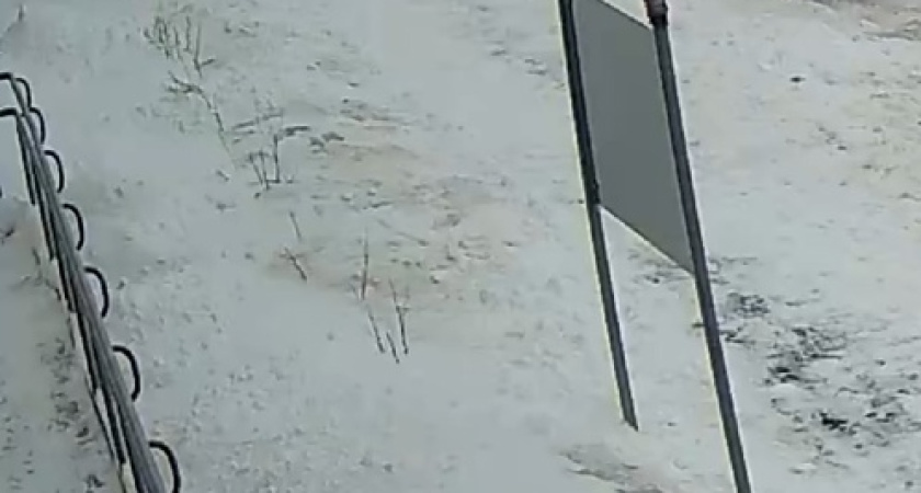  «Последний раз дворы чистили 18 января»