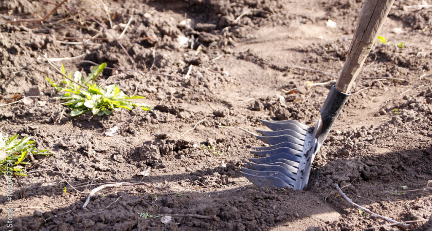 Чистый город: в Челнах субботникам зажгли зеленый свет
