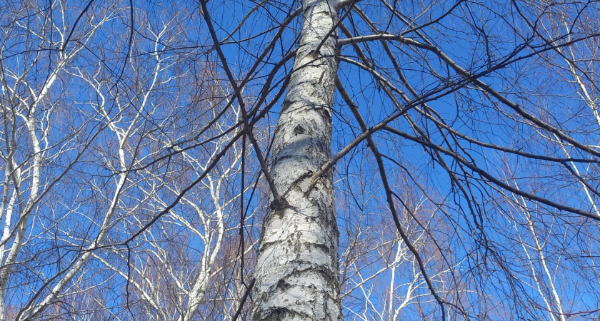 В Татарстане похолодает до -6° С