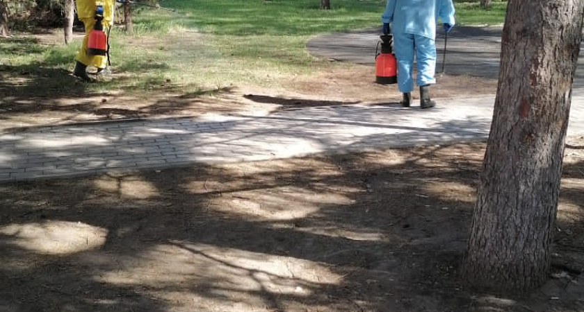 «Зачем обрабатывать?! Воняет, просто ужас!»