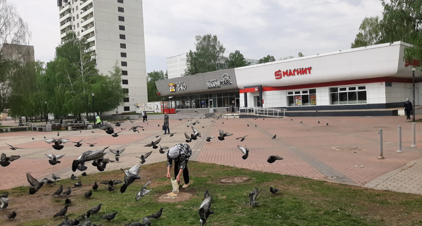 «Выкидывать голубям помои, это нормально?»