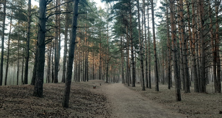Вскоре парк Прибрежный изменится до неузнаваемости 
