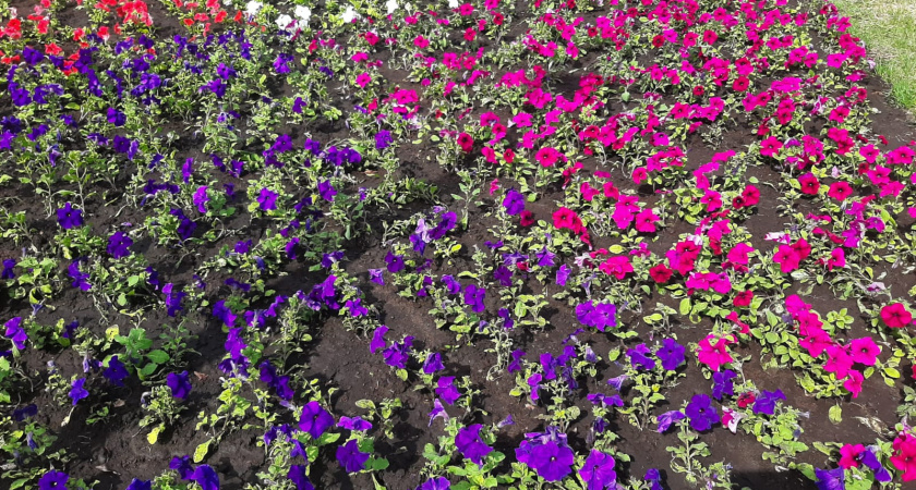 Какая погода будет завтра и в выходные?