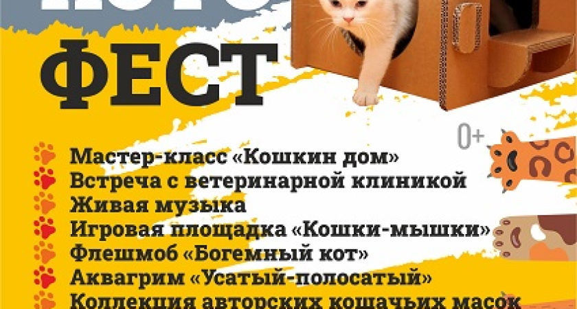 Нашествие пушистиков: в Челнах пройдет котофест