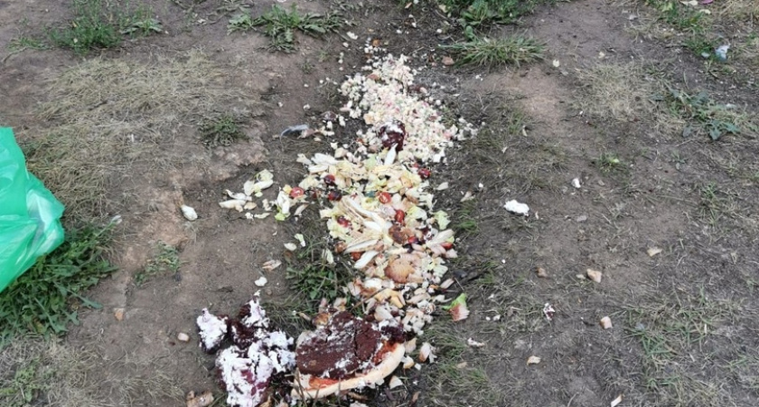 В Челнах сотрудники магазина вываливают просрочку на детскую площадку