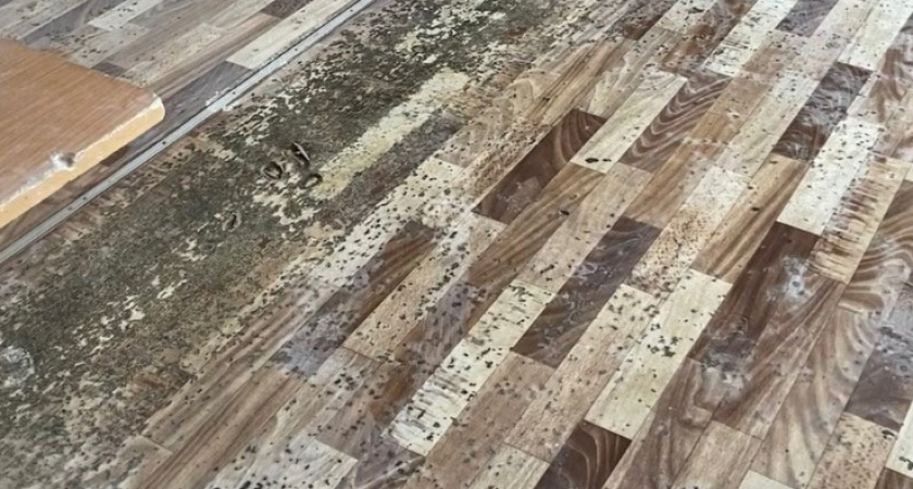 «В кабинетах не меняют линолеум, строительная фирма говорит, что нет бюджета»