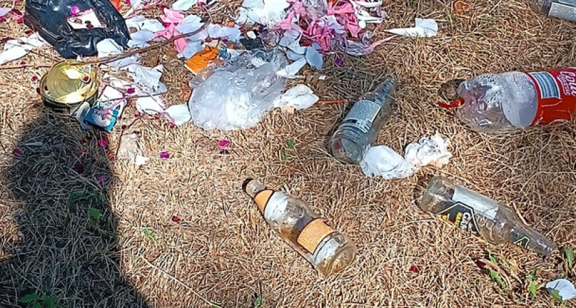 «Тропа пролегает через бутылки, пищевые отходы, собачий кал, использованную туалетную бумагу»