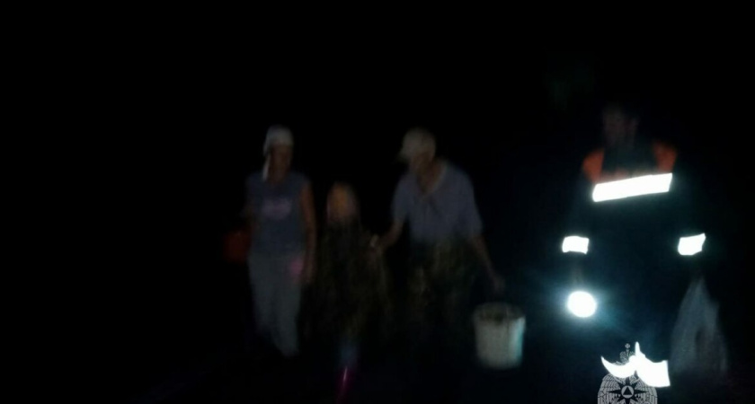 В Тукаевском районе ночью спасли заблудившихся грибников