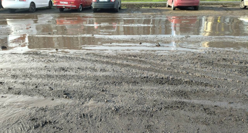 «Благодарим Застройщика за бесконечные обещания»