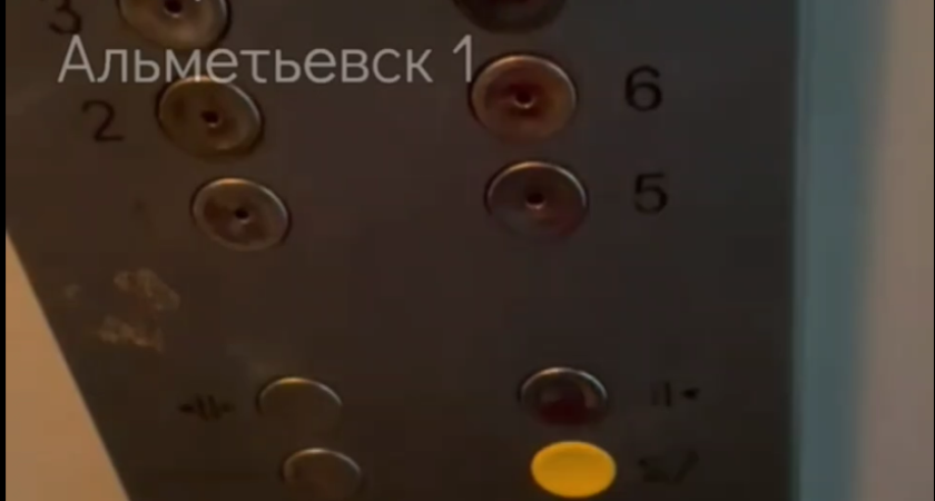 Крысы, летающий мусор, неработающая кнопка аварийного вызова в лифте