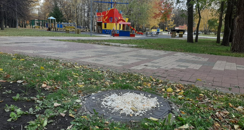  «И зачем свинарник устраивать?»