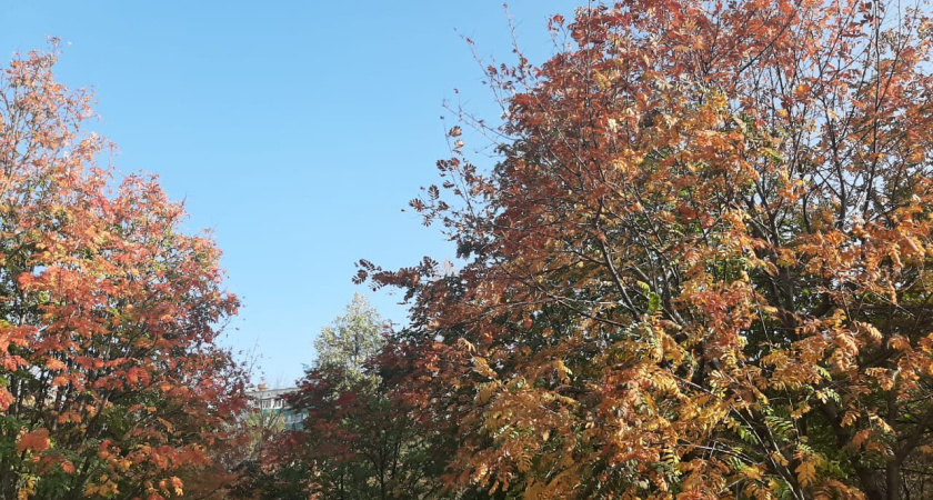 До +13° С: очередной циклон надвигается на Татарстан