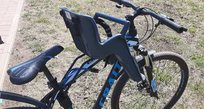 В Челнах благодаря служебной собаке полицейские вышли на след воров