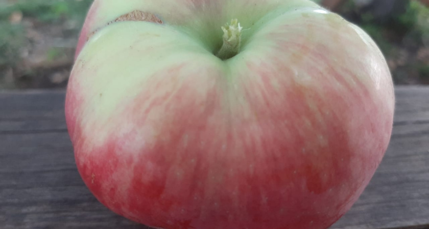 В Татарстане за неделю подорожали говядина, вареная колбаса, куриные яйца, бананы