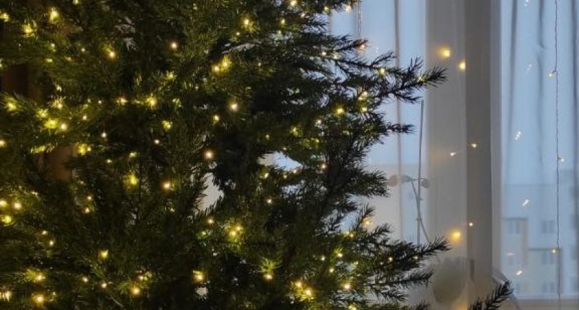 Челнинцы могут задать вопросы о качестве новогодних подарков